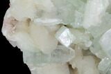 Zoned Apophyllite Crystals With Stilbite - India #91322-2